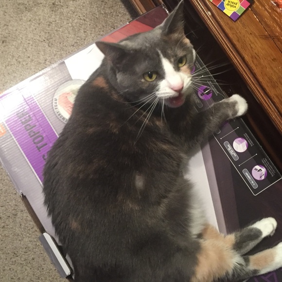 Meet your Posher, Anna - Picture 6 of 12